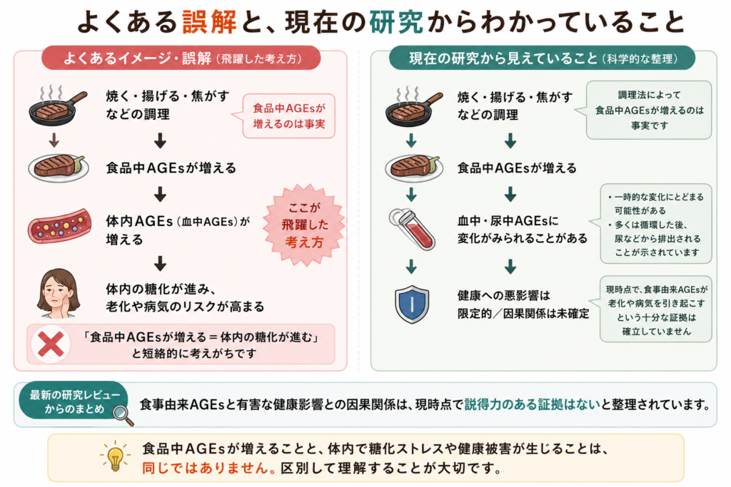 食品中AGEsは一部が吸収されますが、多くは排出される可能性があります。食品中AGEsと体内糖化は区別して考える必要があります。この内容を説明した図です。